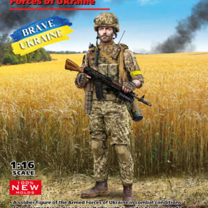 ICM, Soldier of Armed Forces, Ukraine